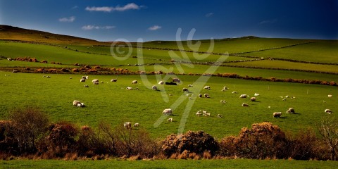 IRELAND Carrickart